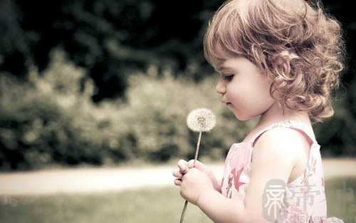 以“宁”字开头的姓杨女孩高分名字推荐