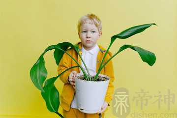 鼠年宝宝小名男女通用