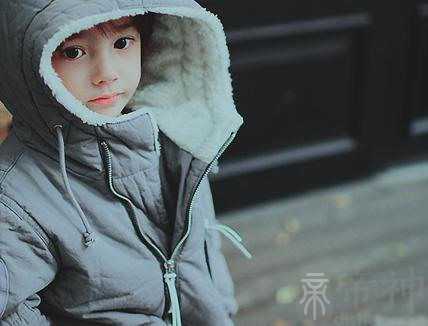 鸡宝宝起名大全