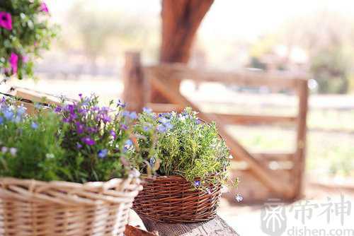 绝地求生炫酷的名字