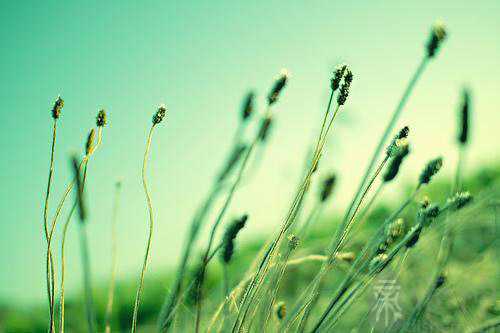 第五人格游戏名字五个字