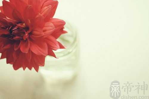 堡垒之夜名字大全