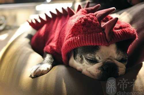 雪鹰领主名字大全