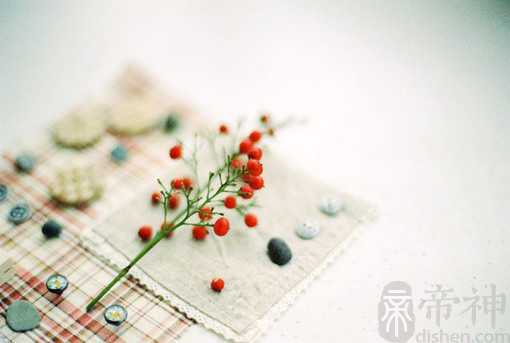 流放之路角色名字大全