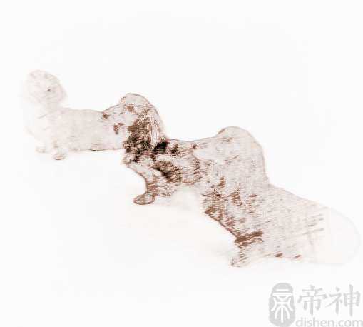 宠物起什么名最有个性好听