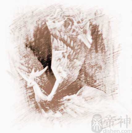 感动浪漫宠物名字大全