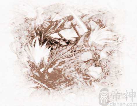 dnf宠物怎么起名字起个霸气的