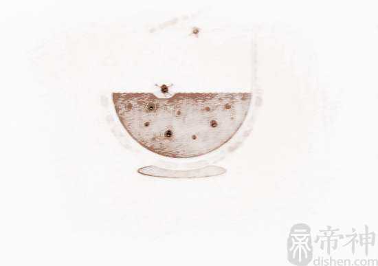 给宠物狗泰迪起名参考