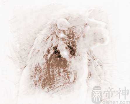 狮子座男生英文名