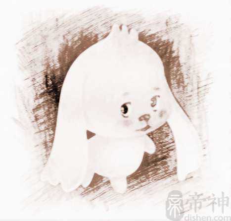 地下豪情宠物名字