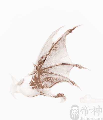 qq宠物搞笑名字