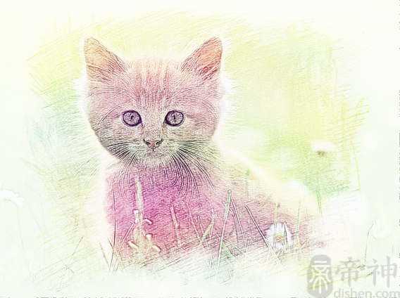 好听猫咪名字大全