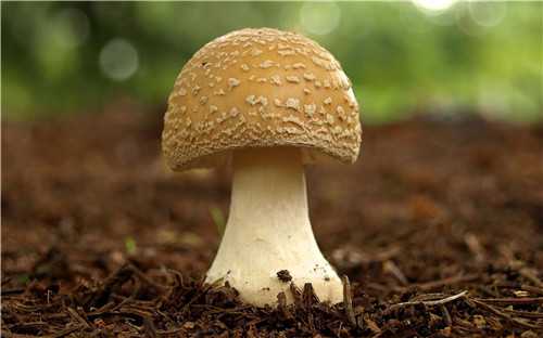 AB型血巨蟹座很无趣吗? AB型血巨蟹座很无趣吗?