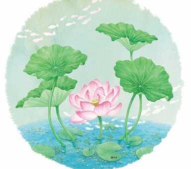 AB型是何种感官动物