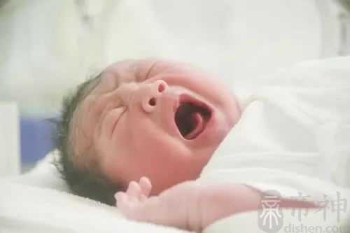 属猪的男孩怎样起名字