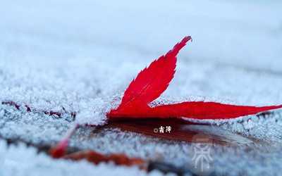 2023兔年霜降节气出生的宝宝取名乳名有什么好的参考？