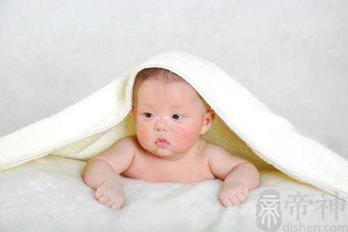 属猪的怎么样起名