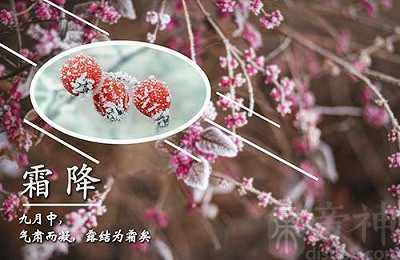 2023年霜降出生女孩五行缺水起名字好听女孩名字