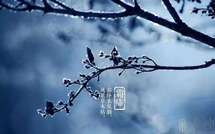 霜降出生的宝宝可爱一点的小名精选推荐，宝宝乳名怎么取？