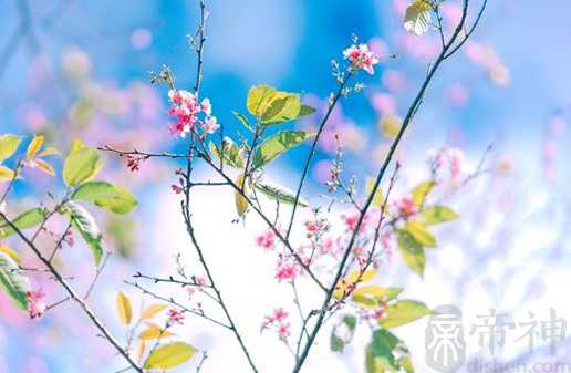 好听好记的食品公司名字 食品公司如何起名