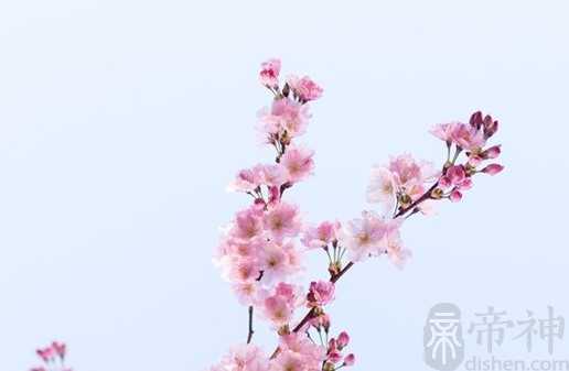 新公司取名字大全 带财的公司名字