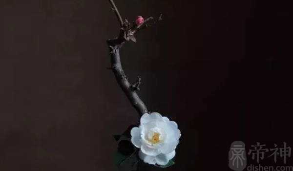 科技物业管理公司周易高分免费取名