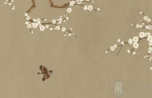 87年属兔女士创业公司名字 有哪些方法和技巧