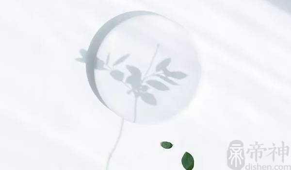 2022年纳财的公司取名 周易取名大全