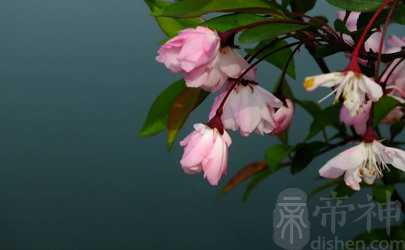 属虎宝宝几月出生最好女孩 二月份出生是贤妻良母