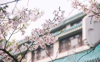 庚寅年属什么生肖属相 庚寅年是哪一年