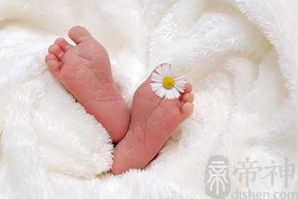 十二月什么命 不同生肖十二月命运详解