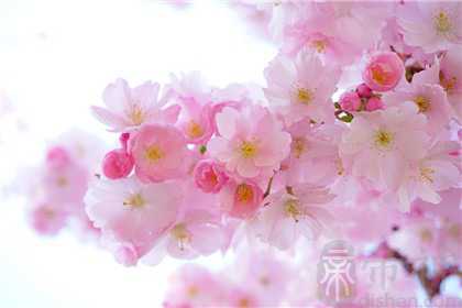 1974年闰几月 这个月出生的宝宝命好吗