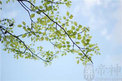 正月出生的孩子命好吗 什么时辰出生招财