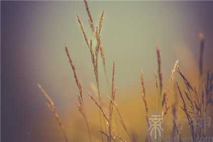 鬼不敢惹的八字是什么 什么八字招鬼