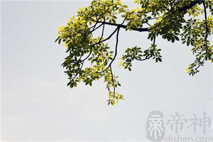 天才的八字极罕有吗 有什么特征