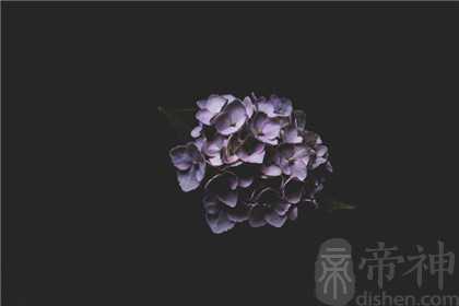 水性杨花的女命八字具有什么特征