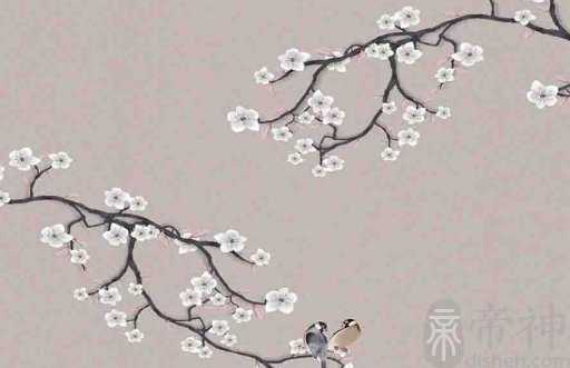 女性极好命的痣 锁骨有痣理财差
