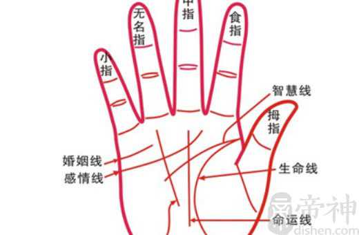女士手掌纹路图解,女人右手三线解析