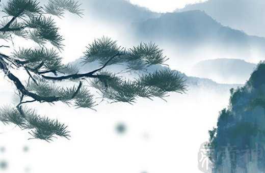 女人掌纹深而清晰代表是充满智慧的人