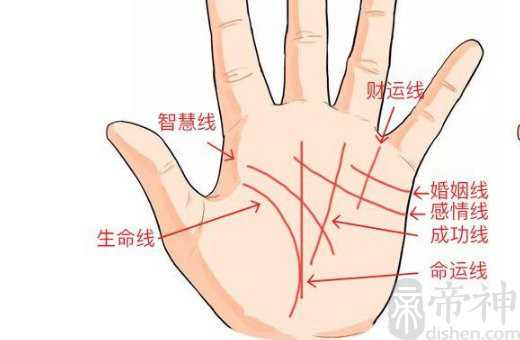 女人手掌纹路图解右手 看看你是哪种人