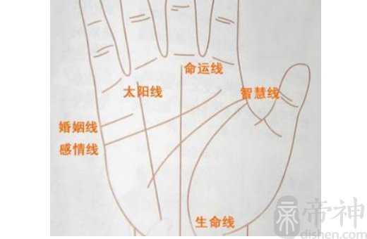 女人手掌纹路图解 看手相了解自己是哪种人