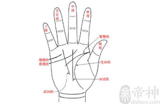 手相解析:女生右手三条线图解