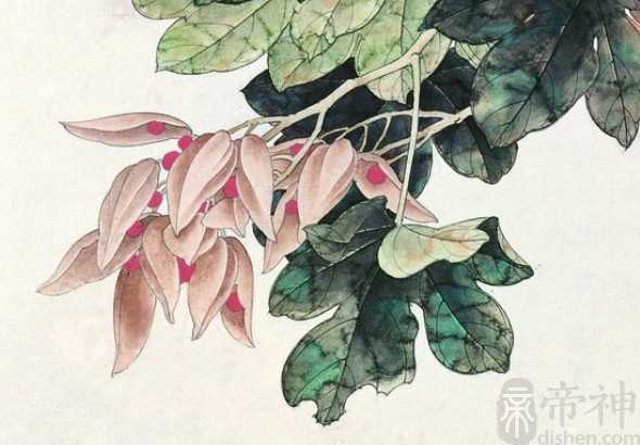 鼻翼两边的痣可以点吗 此面相代表难有钱财积累