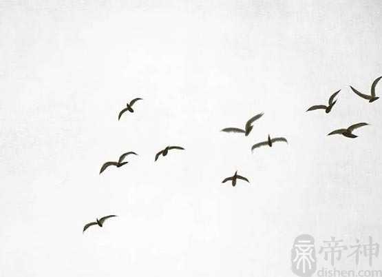 手相算命 这9种手纹的女人命极好