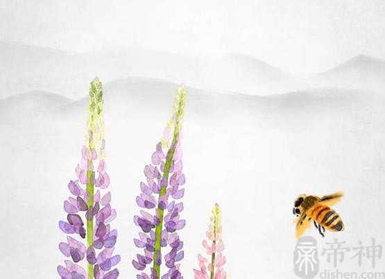 指纹算命运 2个斗的女人是凤命