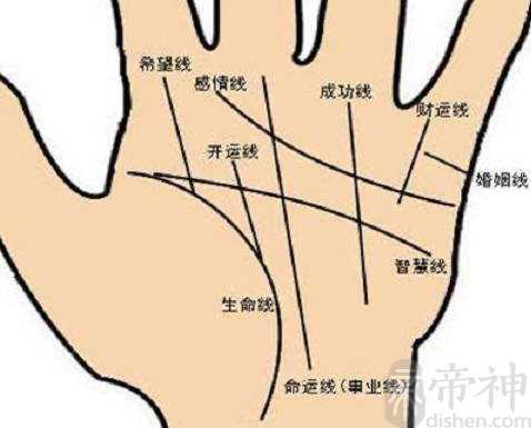 手相算命，通过生命线看体质健康和寿命