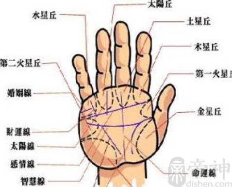 手相图解大全男，生命线长深、红润，意味生命力强