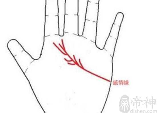 看手相怎么看感情经历，链状感情线看大分叉个数
