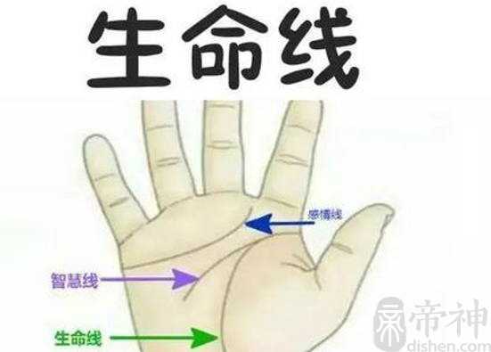 手相女生命线，开端出现分叉，表示性格活泼