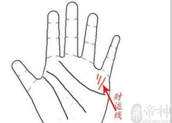 9种手纹的女人命好，财运纹，星形纹，豪宅纹皆是